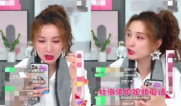 玩偶九块91斤直播,揭秘网红带货背后的秘密