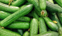 真假千金爆料吃瓜,揭秘娱乐圈的神秘瓜田